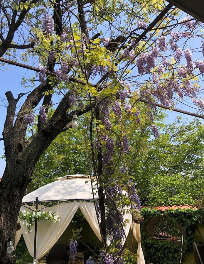 Lux Garden Home D Kumanovo Eksteriør bilde